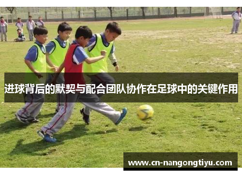 进球背后的默契与配合团队协作在足球中的关键作用